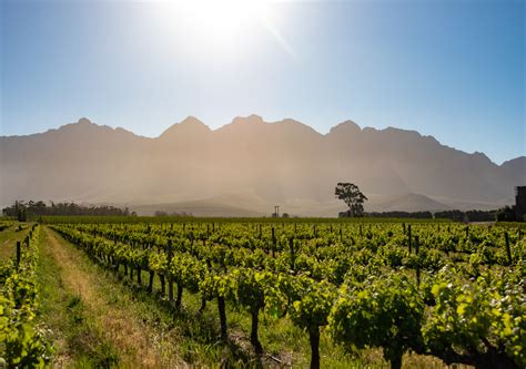 Titulares tóxicos: La epidemia de Fake News que está afectando la ...