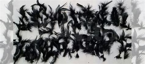 Перья черные для рукоделия, 50 шт купить в Москве | Личные вещи | Авито