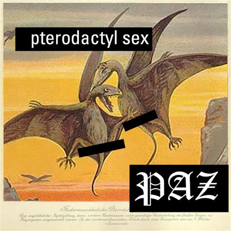 Pterodactyl Sex