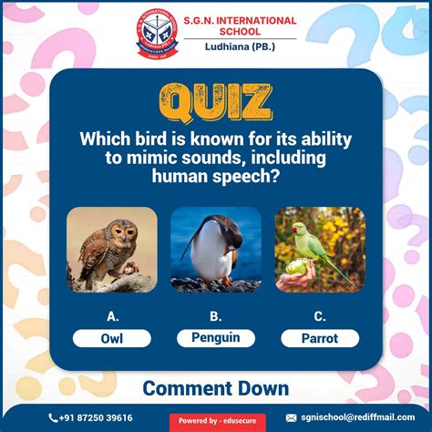 S.G.N - 🧠 QUIZ TIME! Can you guess which bird can mimic sounds
