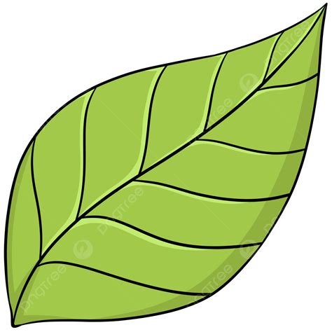 Gambar Daun Sederhana Png Vektor Psd Dan Clipart Dengan Background