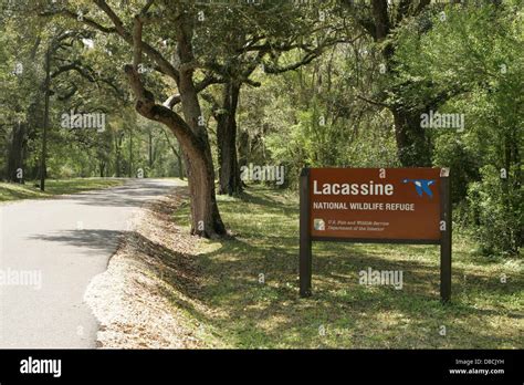 Entrance To Lacassine National Wildlife Refuge Stock Photo Alamy