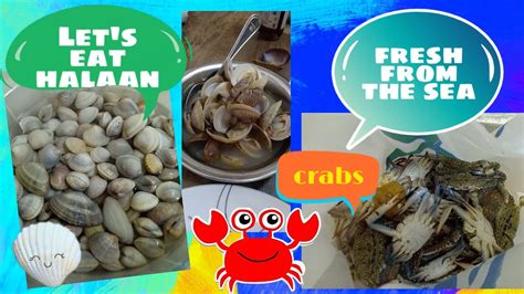 HALAAN CRABS FRESH FROM THE SEA 68 YouTube