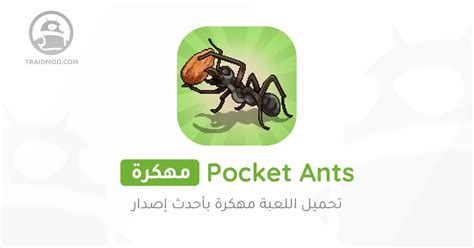 تنزيل لعبة Pocket Ants مهكرة 2024 للأندرويد APK مجانا