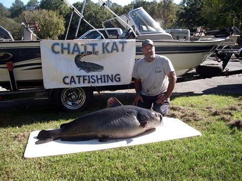 Do Catfish Eat Grasshoppers at Amy Leighton blog