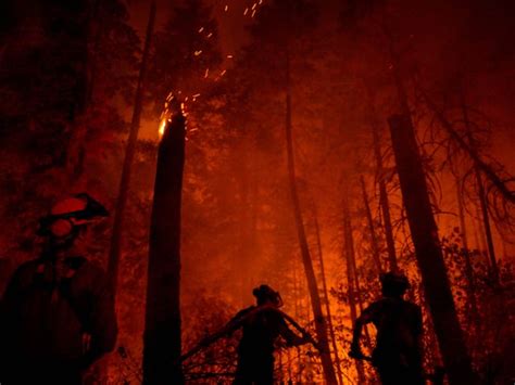 Miles De Personas Tuvieron Que Ser Evacuadas En El Oeste De Canadá