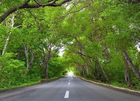 Alugar Carro Em Cura Ao Vale A Pena