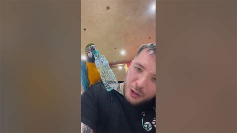 Incredibil Papagalul Lui Livian Bea Din SticlĂ Viral Talent Youtube