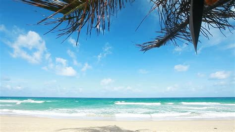 Beach and sky landscape by the ocean image - Free stock photo - Public ...