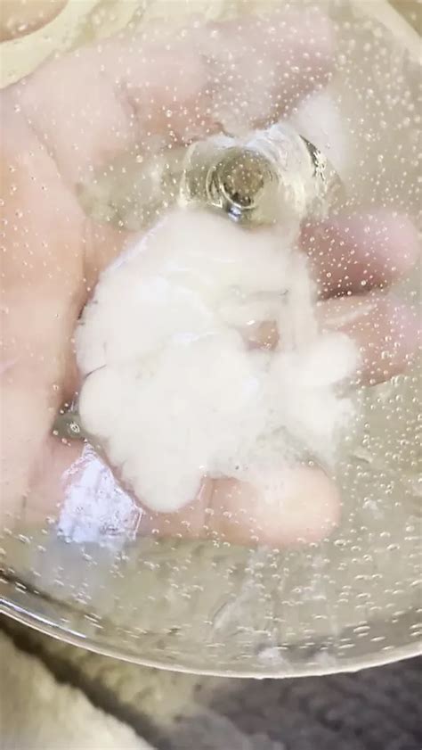 Sperm Lovers Free Solo Man HD Porn Video XHamster