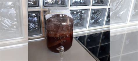 Чайный гриб комбуча купить в Санкт-Петербурге | Товары для дома и дачи ...