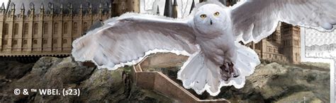 Amazon Wizarding World HARRY POTTER Hot Chocolate Mug Gift Set