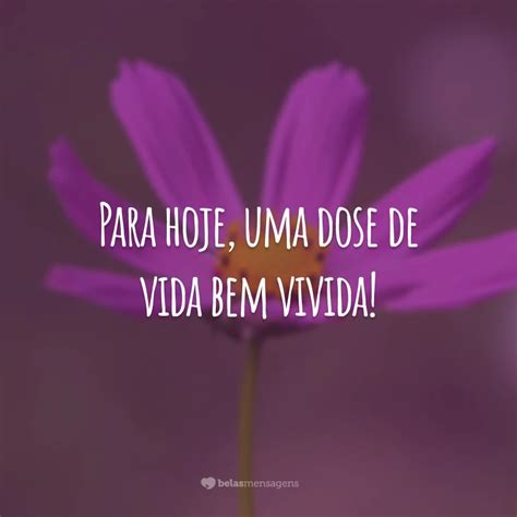 Frases Sobre De Bem Com A Vida - 40 frases de bem-estar para viver uma vida mais plena
