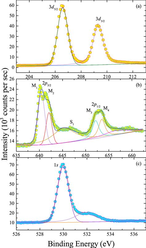 X Ray Photoelectron Spectra Of A Nb 3d B Mn 2p And C O 1s For