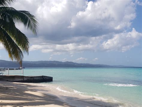 YOUR JAMAICAN TOUR GUIDE (Montego Bay): Tutto quello che c'è da sapere