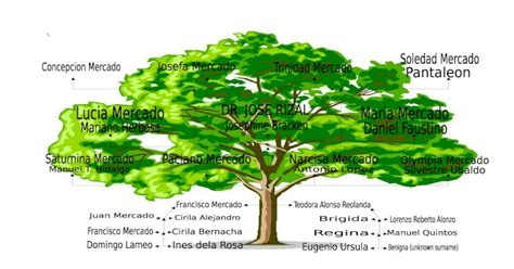 (DOCX) Dr. Jose Rizal Family Tree - PDFSLIDE.NET