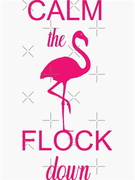 Calm The Flock Down Funny Summer Saying Pink Flamingo Sticker For