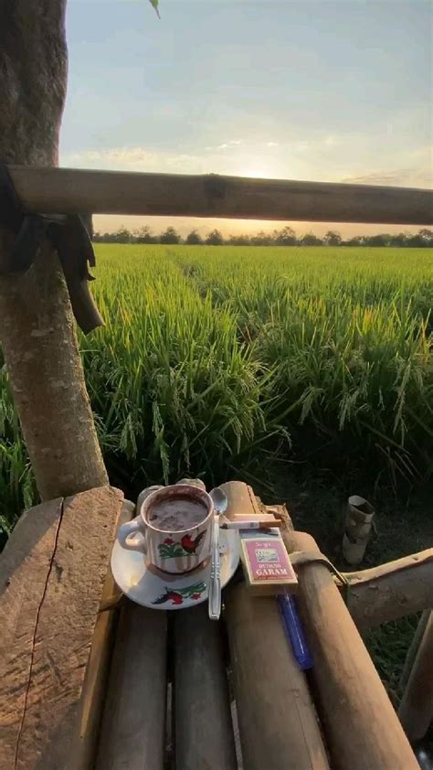 Minum Kopi Di Pinggir Sawah Fotografi Desa Fotografi Matahari Terbit