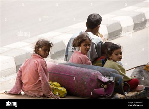 Health And Safety On A Donkey Cart Aswan Egypt Stock Photo Alamy