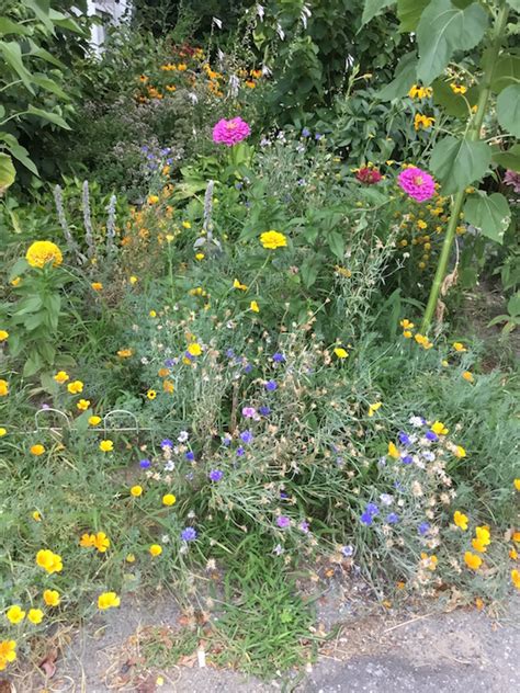 2 00PM Water Cooler 9 28 2016 Naked Capitalism