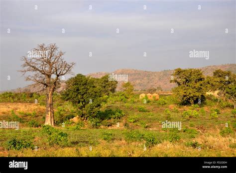 Togo Nadoba Village Stock Photo Alamy