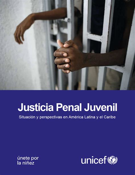 Justicia Penal Juvenil Situaci N Y Perspectivas En Am Rica Latina Y El