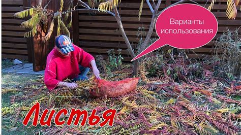 КОМПОСТ власноруч.Листяний.СУПЕРДОБРИВО для ГОРТЕНЗІЙ. - YouTube