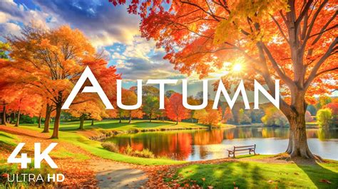 Autumn Scenic Landscape Music Therapy Soothes The Nervous System And