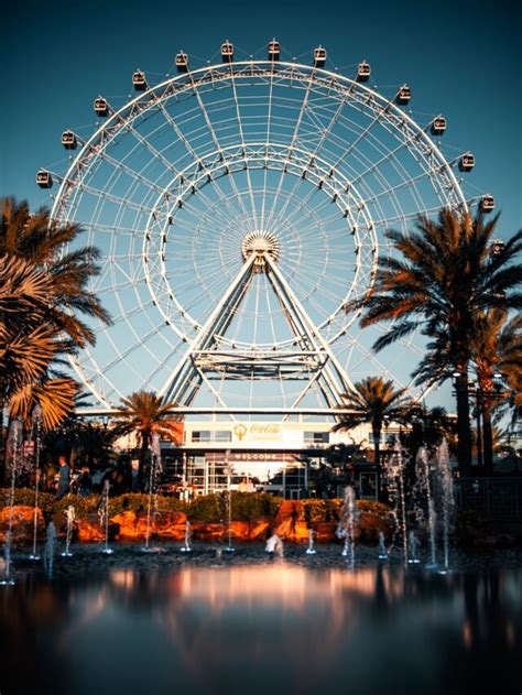 7 Things To Do in Orlando for Adults