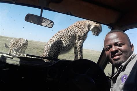 Gruppo Di Giorni Che Unisce Il Campeggio Safari Tarangire Park E Il