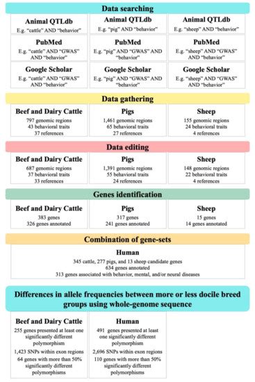 Genetic Traits Chart