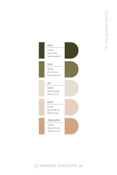 Olive And Blush Muted Color Palette In 2021 Color Palette Design Brand Color Palette Design