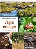 Amazon Fr Comprendre L Agro Cologie Origines Principes Et