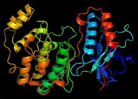 mapk alchetron   social encyclopedia