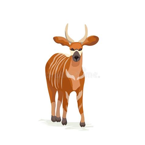 Vector Bongo Antelope Central African Animal Isolated On White Stock