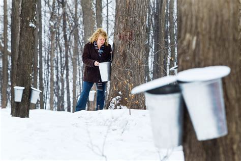 A Trip To Canada S Sugar Shacks Gives Sweet Insight Into Maple Syrup