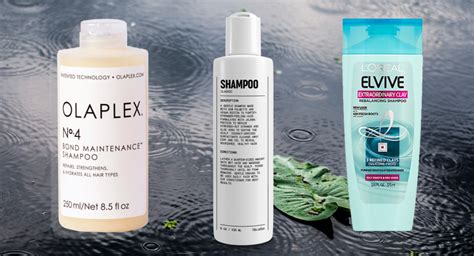 The Best Shampoos in the World - Orlando Magazine