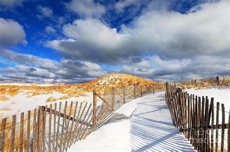 Winter On Cape Cod Photograph By Denis Tangney Jr Pixels