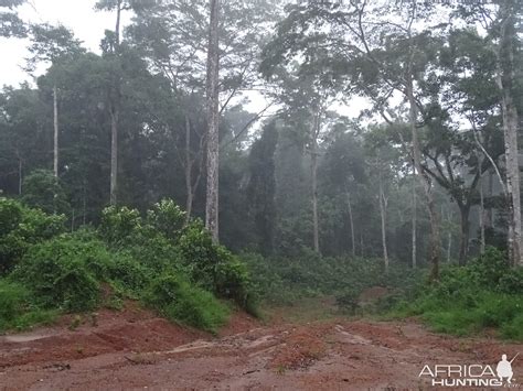 Congo | AfricaHunting.com