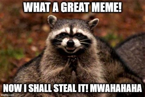 Meme Stealing Raccoon Imgflip