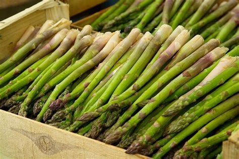 The Ultimate Guide To Asparagus Spears