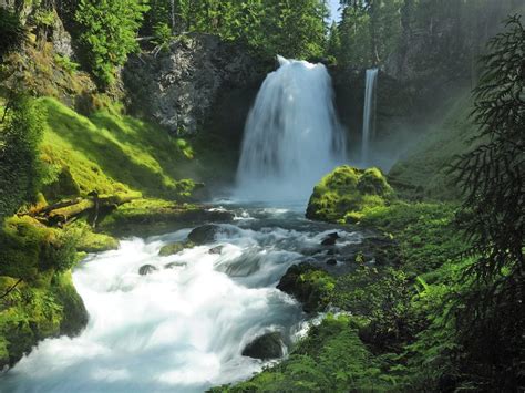 Top 5 Must-See Oregon Hiking Trails