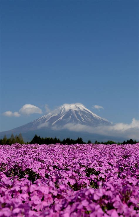 Los diez lugares que no te puedes perder en tu primer viaje a Japón