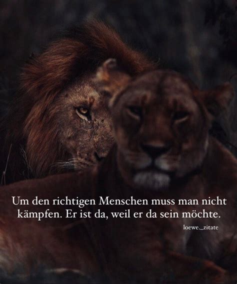 Gefällt 2860 Mal 44 Kommentare Sprüche And Texte Loewenzitate Auf Instagram „kommentiere