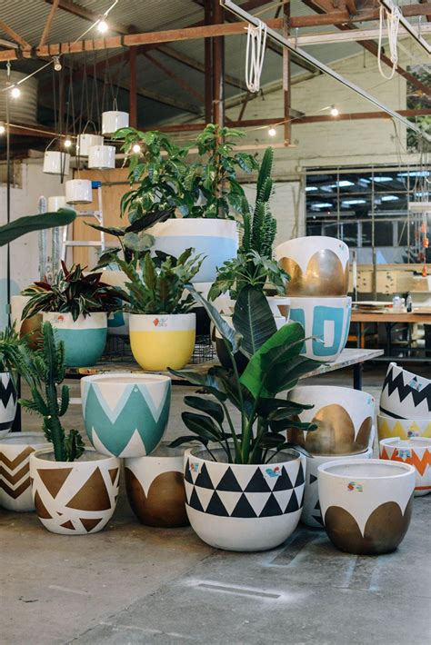 Indoor Flower Pot Ideas