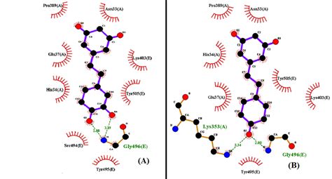 Docked Poses D Depiction Of Hydrogen Bond And Hydrophobic