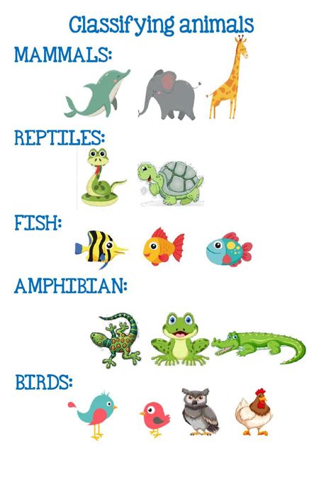 Classifying Animals Interactive Worksheet Live Worksheets