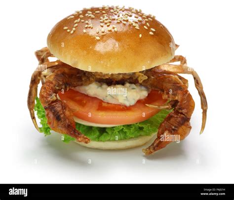 Soft Shell Crab Hi Res Stock Photography And Images Alamy