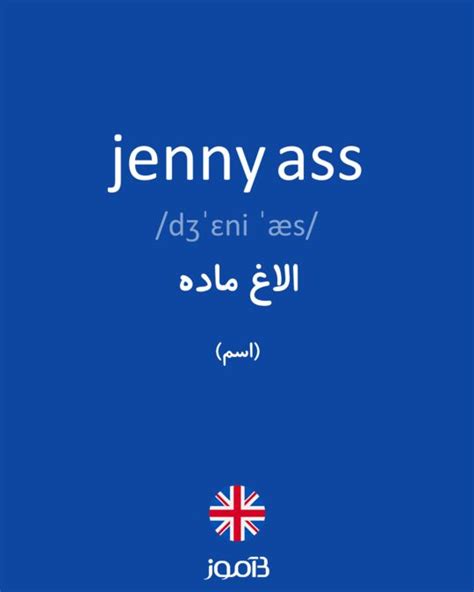 ترجمه کلمه jenny ass به فارسی دیکشنری انگلیسی بیاموز