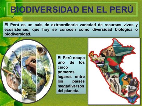 Biodiversidad En El Perú